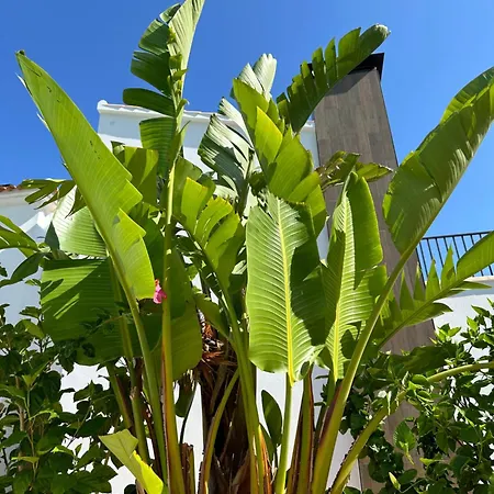 Moderne 3 Slaapkamer