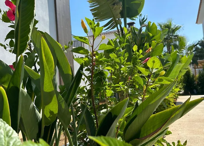 Moderne 3 Slaapkamer * Dénia