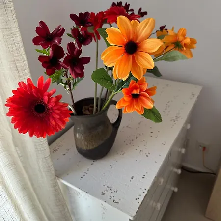 Moderne 3 Slaapkamer Villa