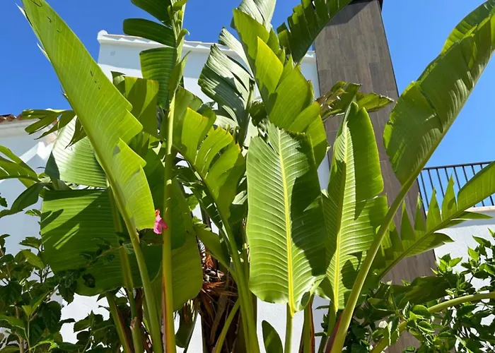 Moderne 3 Slaapkamer